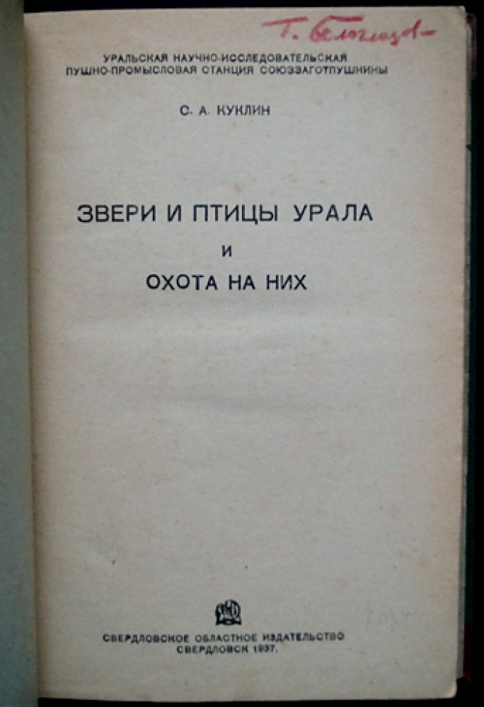 Звери и птицы Урала и охота на них: распространение, образ жизни и организация охотничьего хозяйства