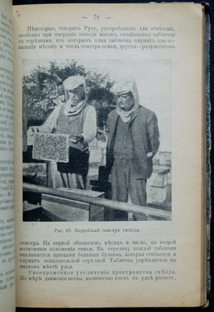 Промысловое пчеловодство: руководство по ведению пчёл в рамочных ульях (с иллюстрациями)