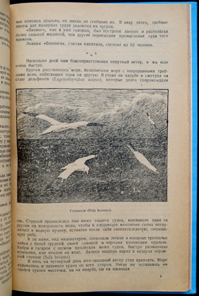 Фритьоф Нансен. Среди тюленей и белых медведей (плавание в Ледовитый океан)
