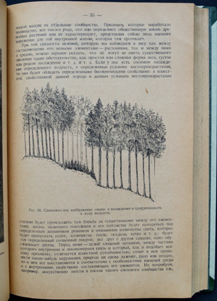 Учение о лесе. Ландшафтный подход к пониманию леса