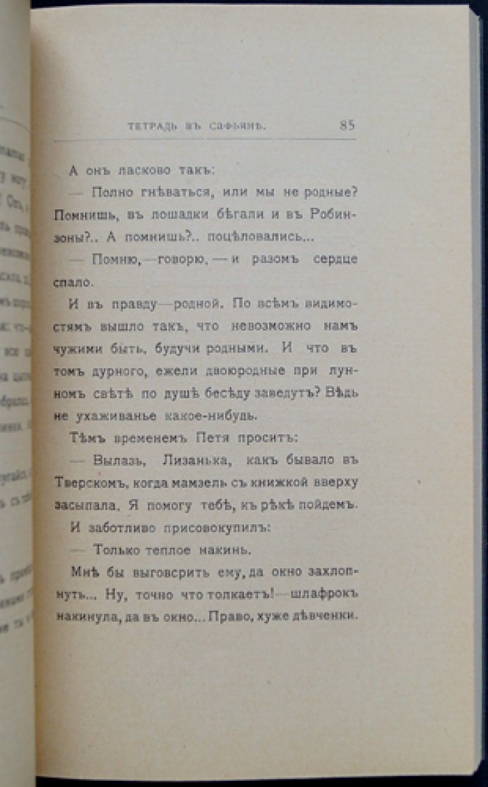 Савватий. Тетрадь в сафьяне: любовный роман и хроника села Арсеньевки