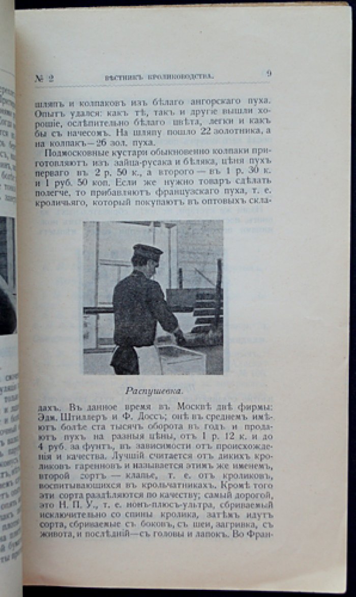 «Вестник кролиководства»: полный комплект за 1911/1912 год (12 номеров)