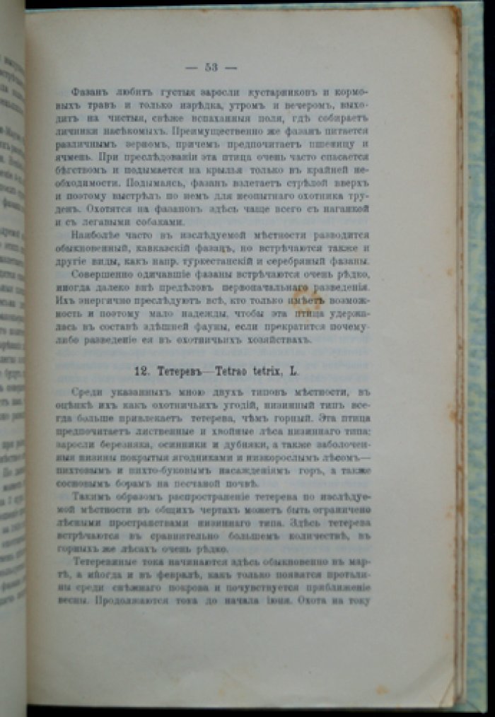 Опыт исследования охотничьих хозяйств в Келецкой и Радомской губерниях (Царство Польское)