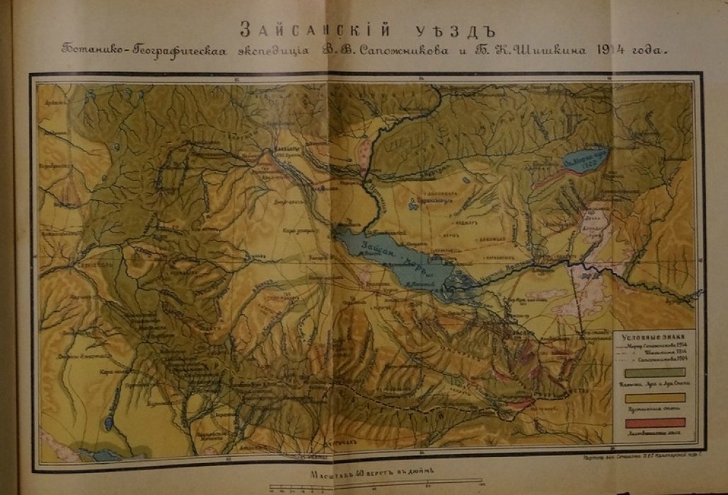 Сапожников, Шишкин. Растительность Зайсанского уезда: исследования 1914 года (издание 1918)