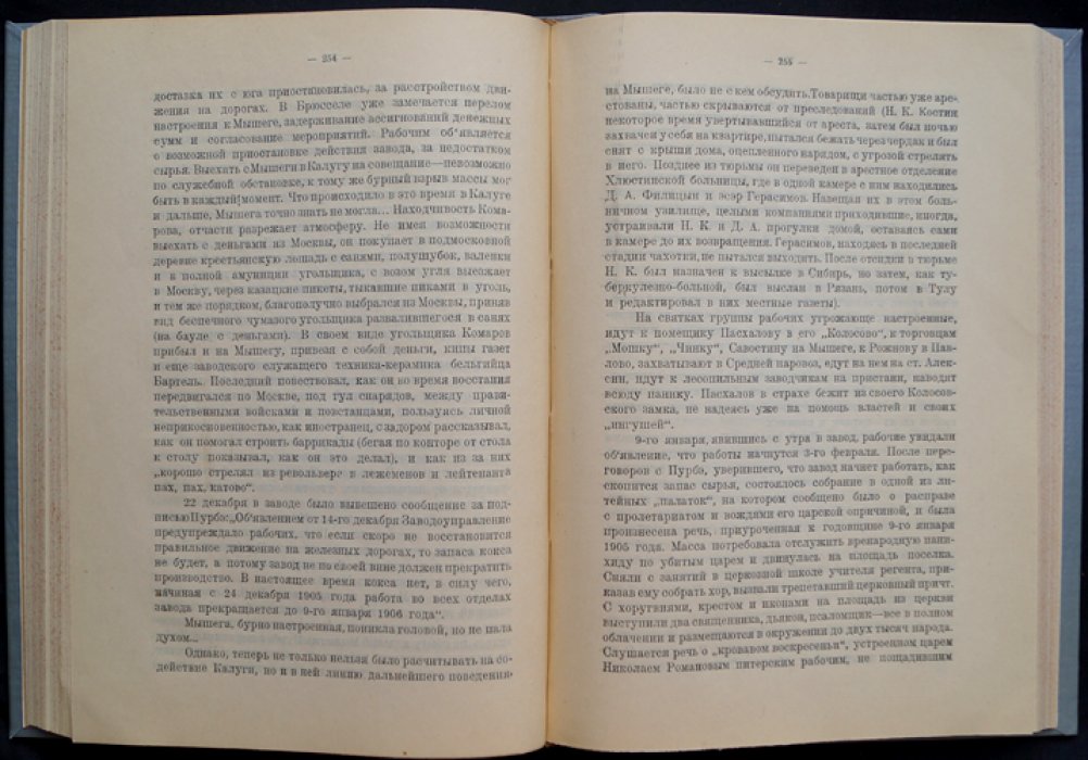 Калужская губерния в 1905 году: революционное движение по материалам местных организаций и хронике событий