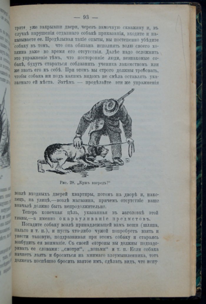 Сторожевые, охотничьи и комнатные собаки. Руководство по содержанию, кормлению, воспитанию и дрессировке