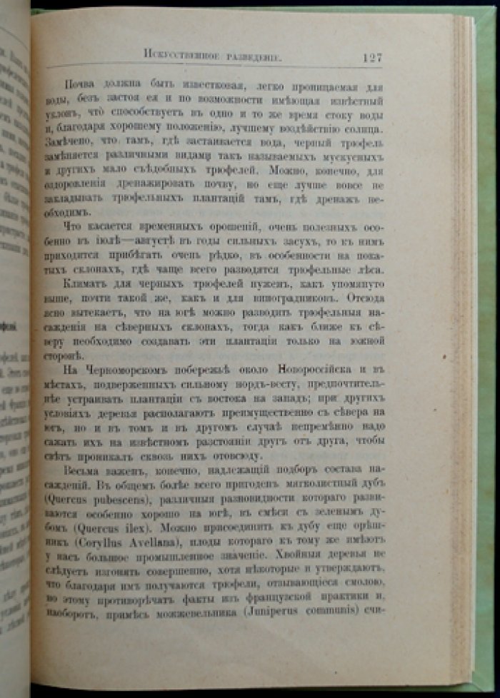 Доходное грибоводство: шампиньоны и искусственное разведение трюфелей, сморчков, рыжиков, белых и других грибов. Практическое руководство