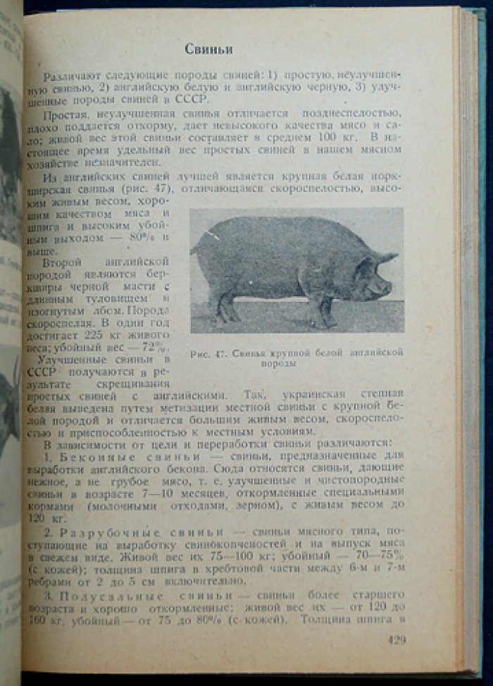 Товароведение пищевых продуктов: учебное руководство по ассортименту продовольственных товаров