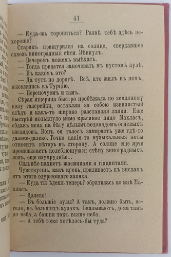 Дагестанские захолустья: кавказские очерки и рассказы (1894)