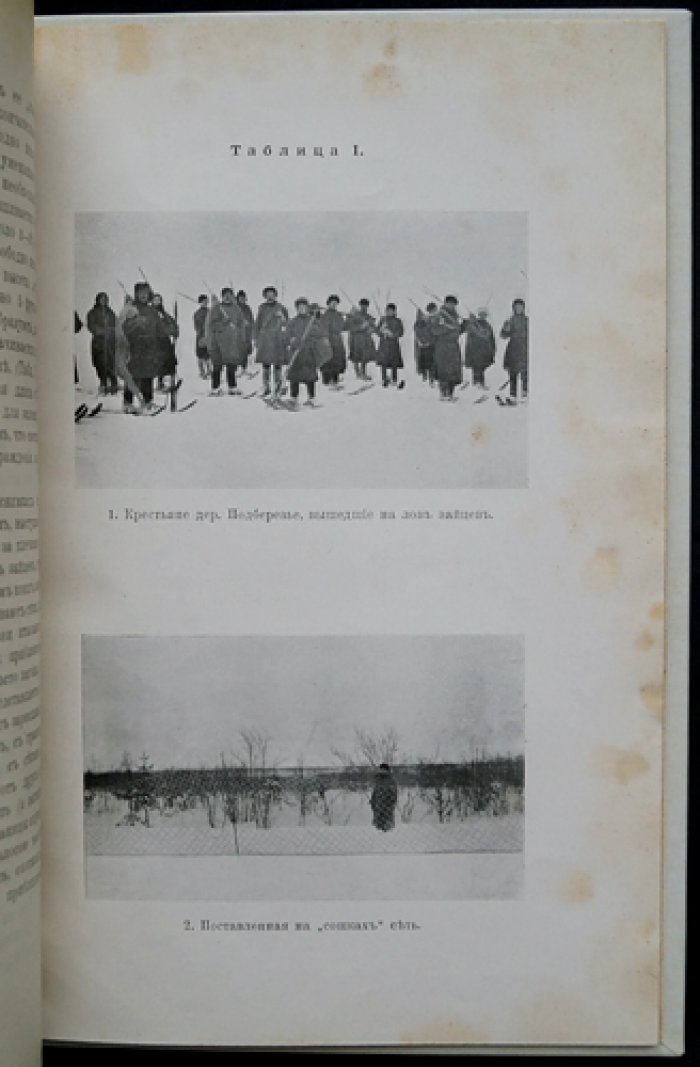 Промысловый лов зайцев для разведения в Валдайском и Демянском уездах Новгородской губернии (Материалы к познанию русского охотничьего дела, Выпуск 1)