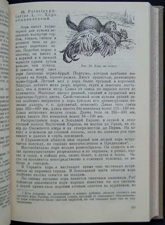 Звери, птицы, гады и рыбы Горьковской области: научно-популярный справочник (1942)