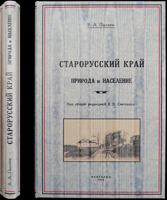 Старорусский край: природа, население и жизнь уездного пространства (1929)