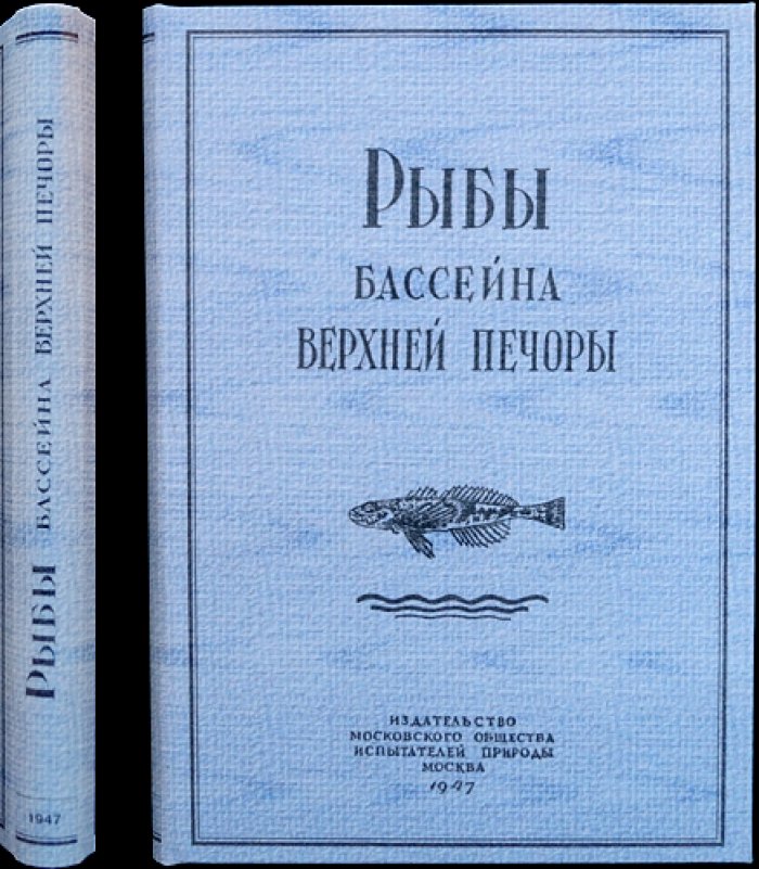 Рыбы бассейна Верхней Печоры: ихтиофауна, распространение и образ жизни (материалы к познанию природы СССР)