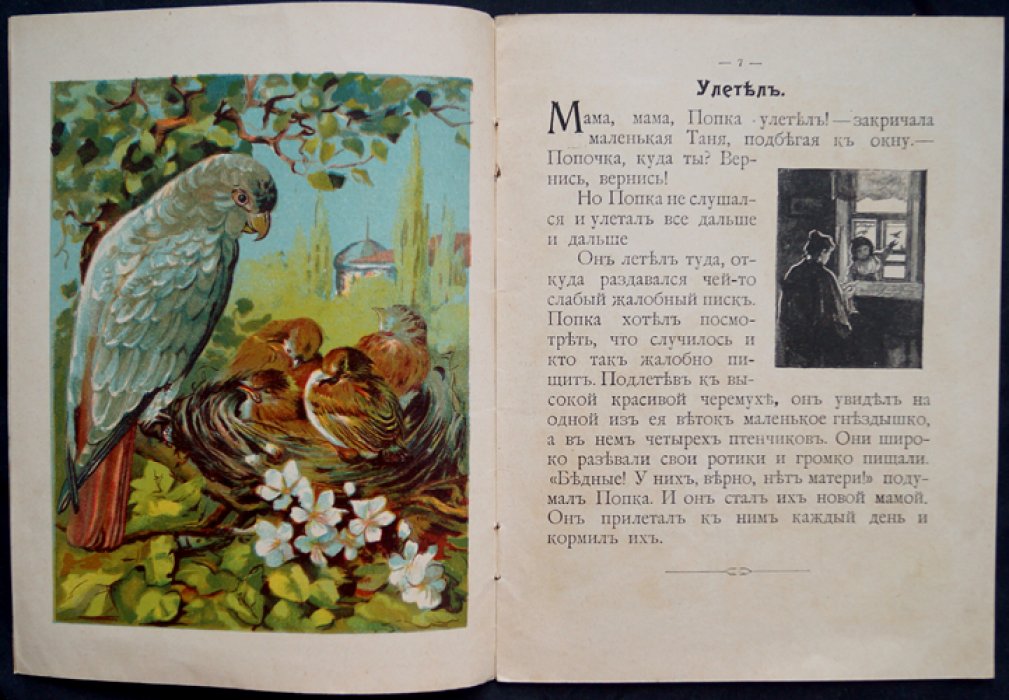 Моя книжка: сборник рассказов для маленьких детей (о животных)