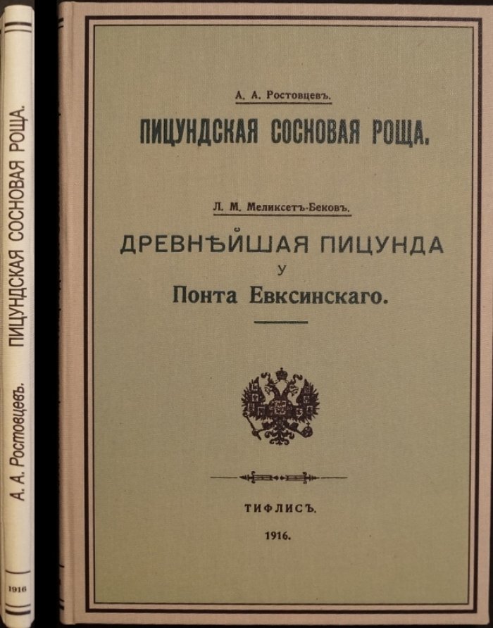 Пицундская сосновая роща и Пицундский монастырь: исторические заметки по материалам «Записок» Кавказского отдела ИРГО (1916)
