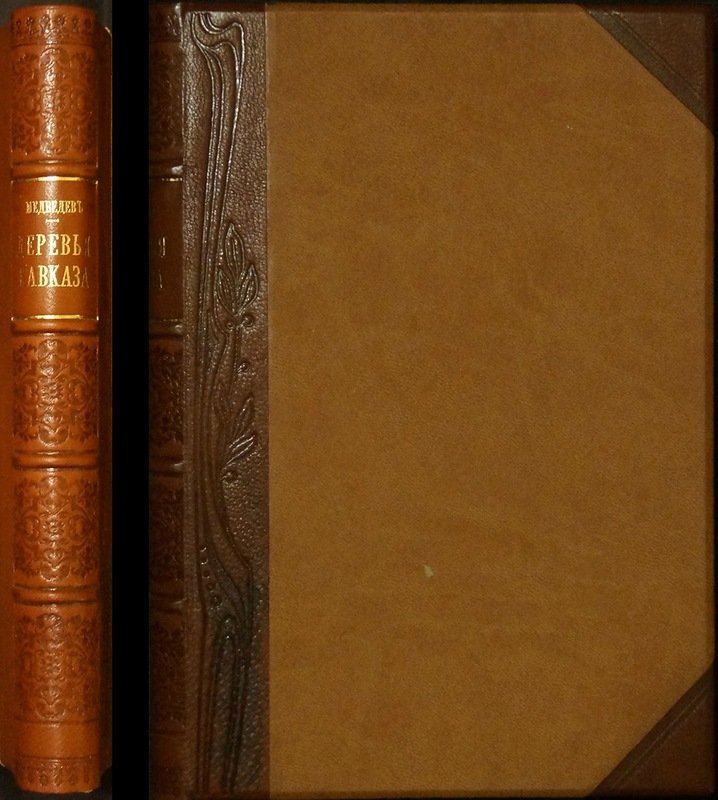 Деревья и кустарники Кавказа: дикорастущие и одичавшие растения, их распространение, свойства и употребление