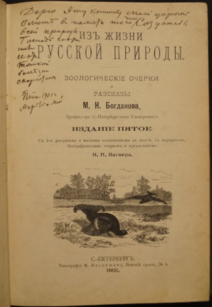 Из жизни русской природы: зоологические рассказы для детей (очерки и истории о живом мире)