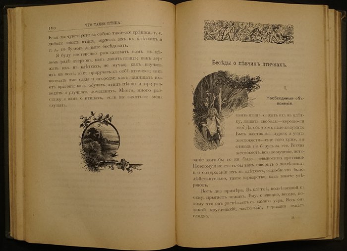 Из жизни русской природы: зоологические рассказы для детей (очерки и истории о живом мире)