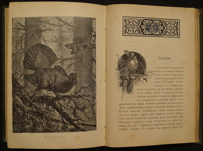 Из жизни русской природы: зоологические рассказы для детей (очерки и истории о живом мире)