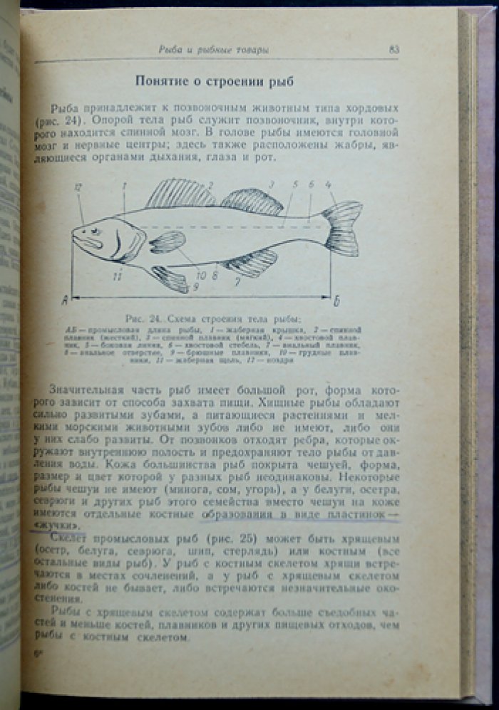 Товароведение гастрономических товаров (учебник для торговли)