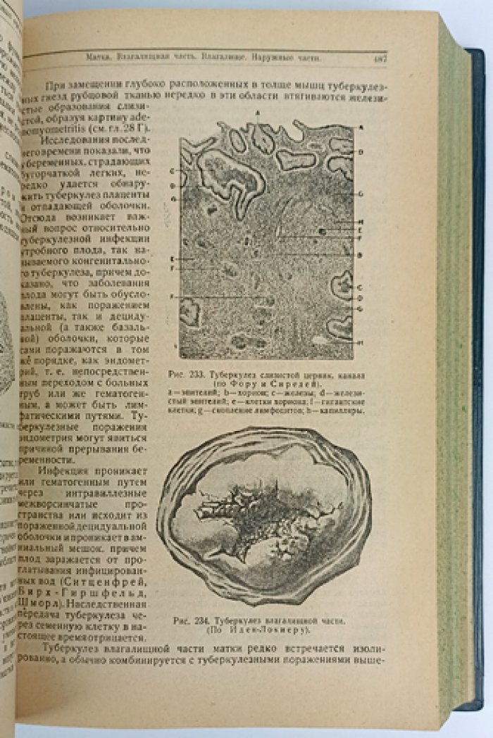 Руководство по женским болезням (энциклопедическое руководство по гинекологии)