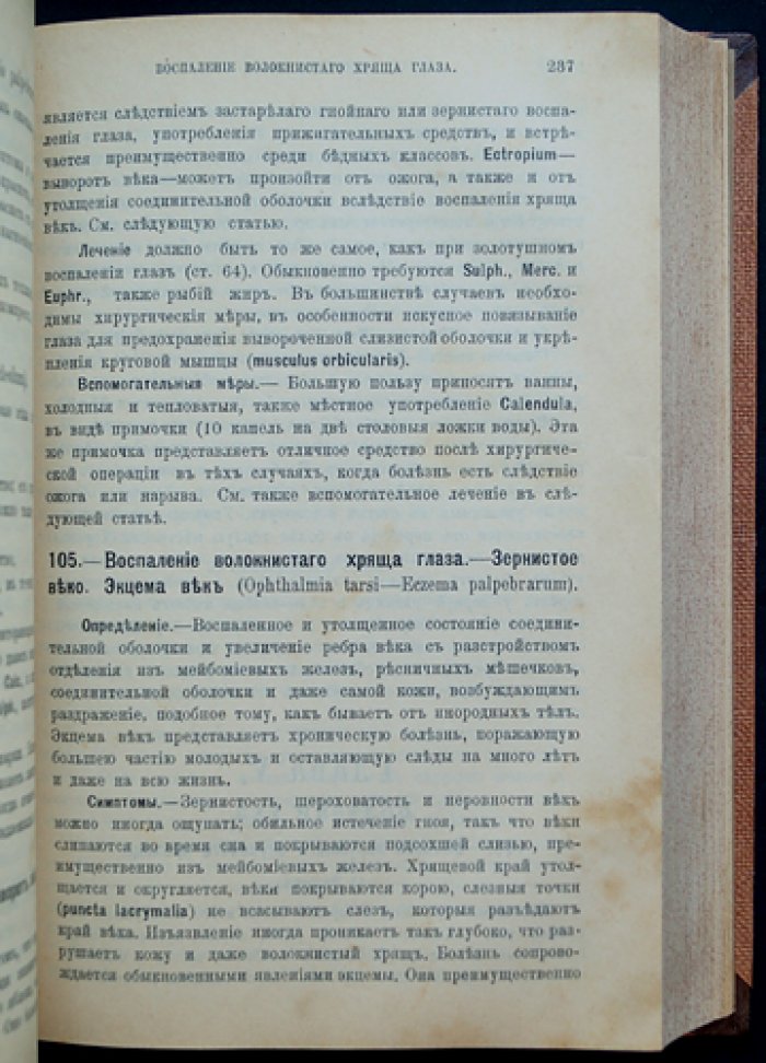 Руддок. Спутник гомеопата (Vade Mecum). Практическое руководство по гомеопатическому лечению болезней