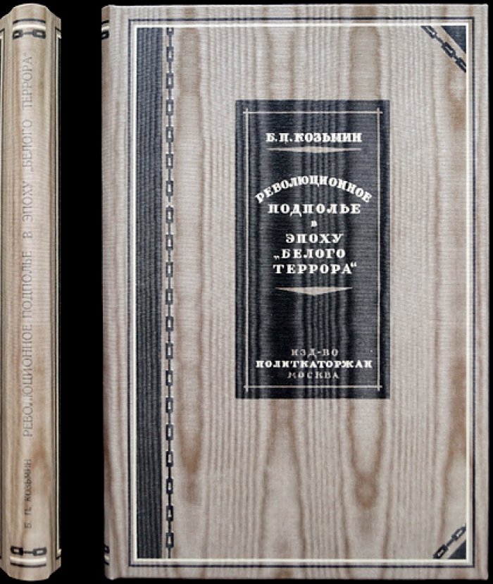 Революционное подполье в эпоху «Белого террора» (1866–1869): история подпольного движения в России