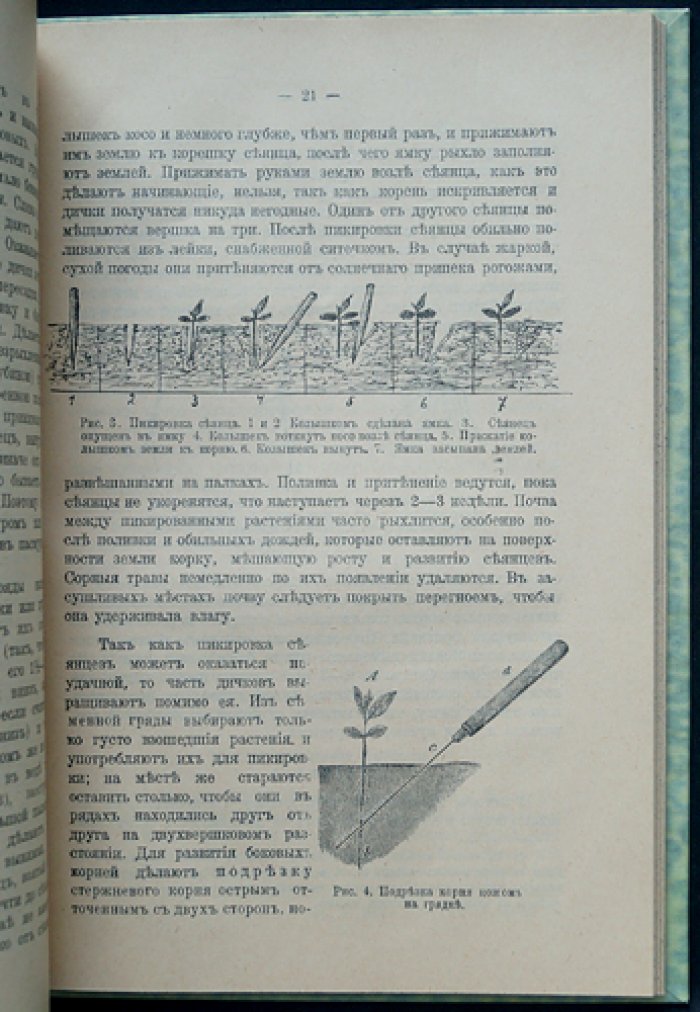 Доходный сад и огород русского крестьянина: практическое руководство для малых хозяйств (с рисунками)