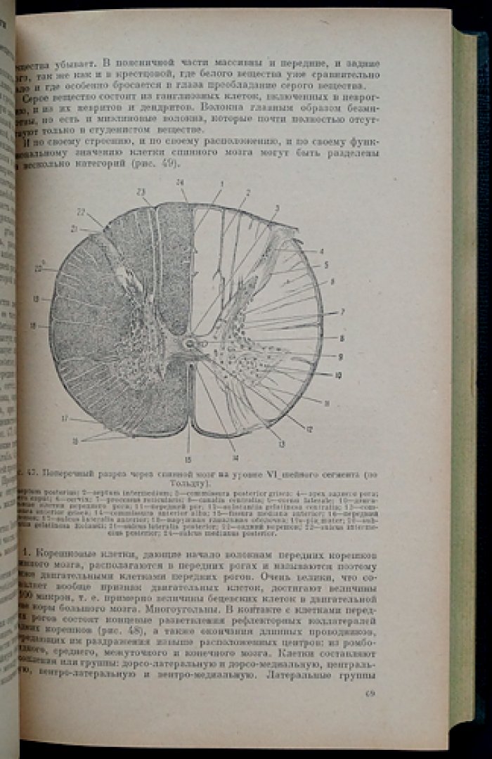 Учебник нервных болезней. В двух томах. Том I: Общая часть; Том II: Специальная часть (2-е изд., исправленное и дополненное)