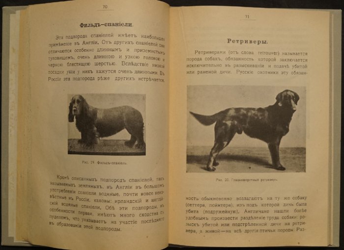 Породы собак: воспитание и дрессировка комнатных и охотничьих (подружейных) — лечебник