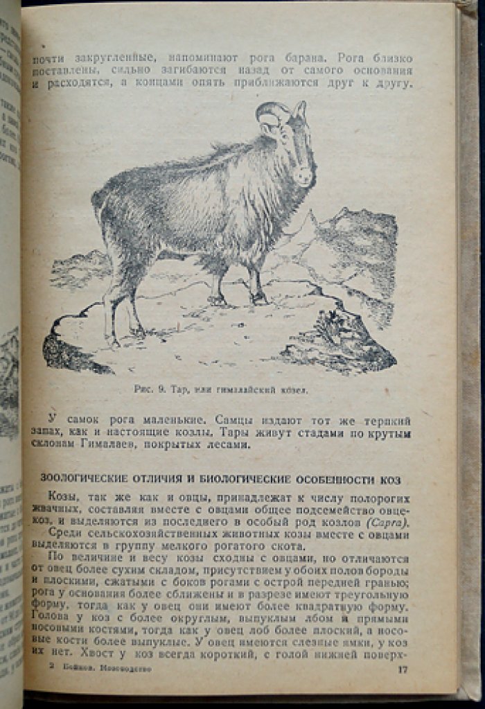Козоводство: статистика, породы, содержание и кормление коз (научно-практическое руководство)