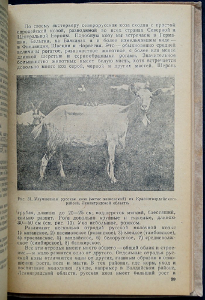 Козоводство: статистика, породы, содержание и кормление коз (научно-практическое руководство)