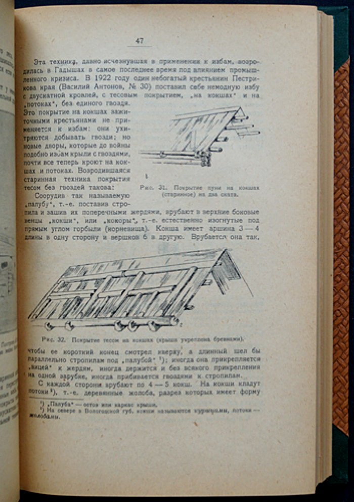Современная деревня (Гадыши, Валдайский уезд): краеведческое обследование — в 2 частях