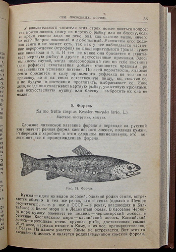 Рыбы Урала и их ужение: практическое руководство для рыболовов-любителей