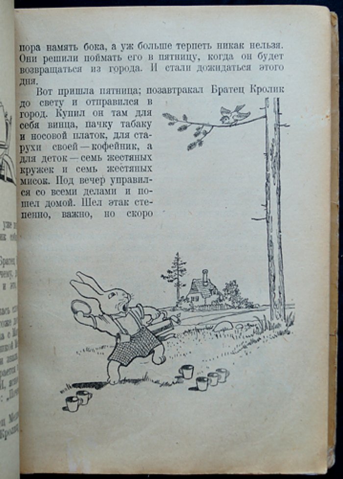 Как братец кролик победил льва. Сказки о животных (сказки разных стран)