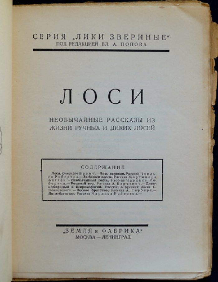 Лоси: удивительные рассказы о ручных и диких лосях