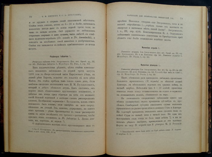 Материалы для орнитофауны Симбирской губернии (сведения о перелётных птицах, токах тетеревов и птицах окрестностей Волги)