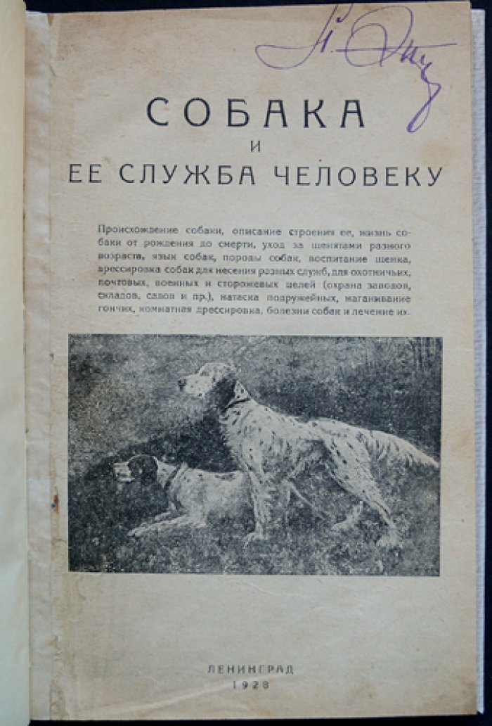Собака и её служба человеку: происхождение, строение, уход и дрессировка для охоты, службы и охраны