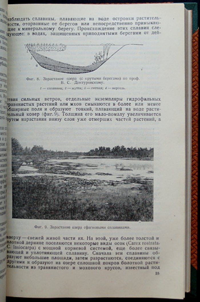 Торфяные месторождения: геология, стратиграфия, физико-химические свойства и разведка (прижизненное издание)