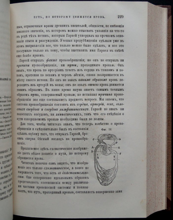 Физиология обыденной жизни (2-е изд.)