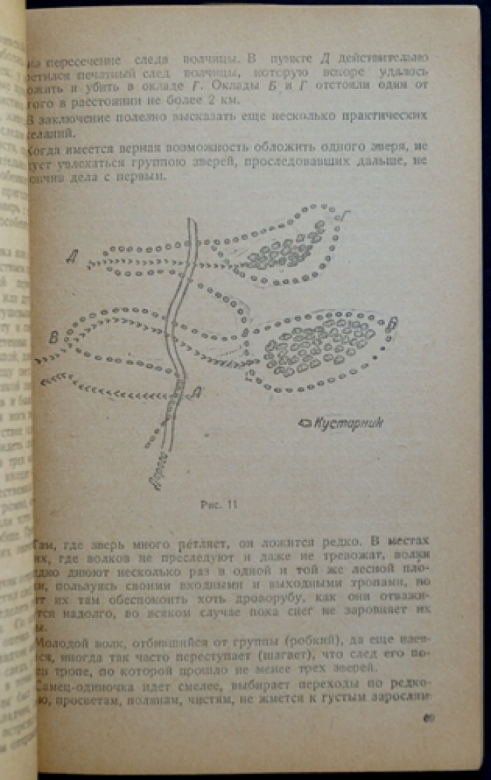 Волк и борьба с ним: охотничье руководство (2-е издание)