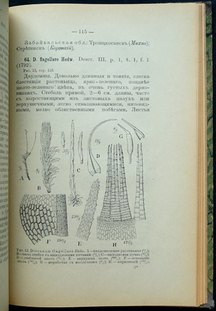 Флора Азиатской России. Выпуск 4. Мхи (Andreaeles, Bryales, часть I) и Выпуск 13. Мхи (Gramineae). Часть II (в одном комбинированном переплёте)