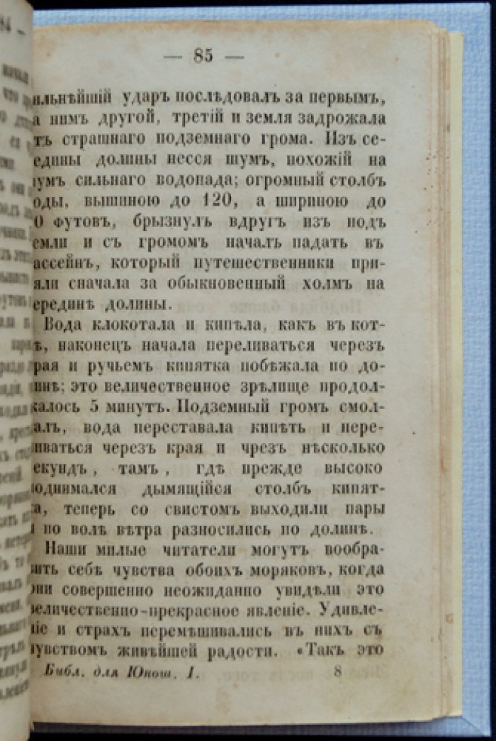 Ледовитое море, или Поездка на китовую ловлю — путешествие в арктические воды
