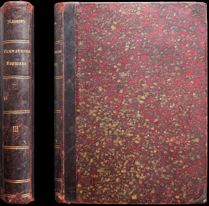 Жданов. Осажденная Варшава. Роман-хроника (1830–1831 гг.)