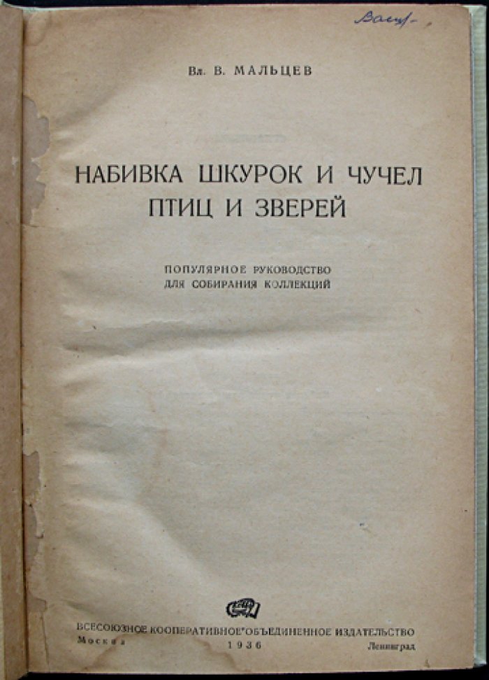 Набивка шкурок и чучел птиц и зверей: практическое руководство для любителей и коллекционеров