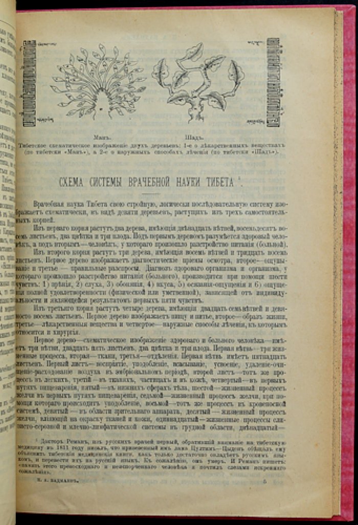 «Жуд-ши» — главное руководство тибетской врачебной науки: перевод и введение П. А. Бадмаева