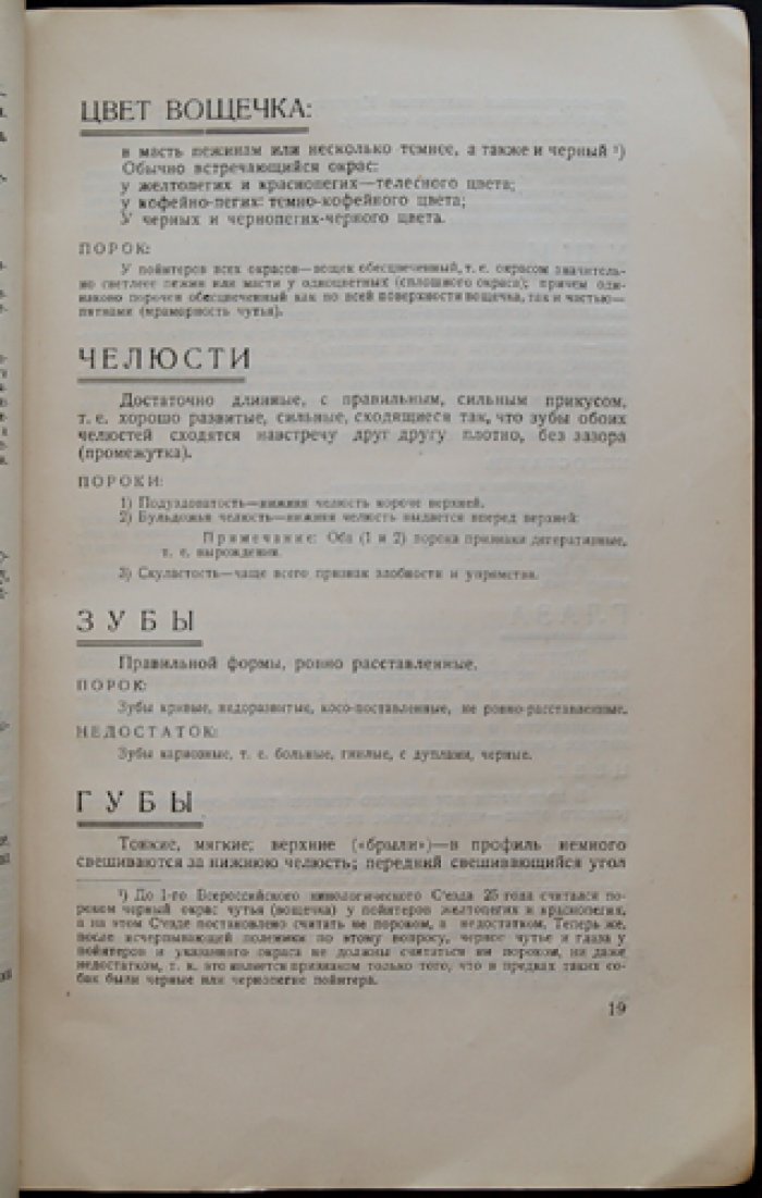 Пойнтер: стати, признаки и оценка качества (руководство для охотников и собаководов)
