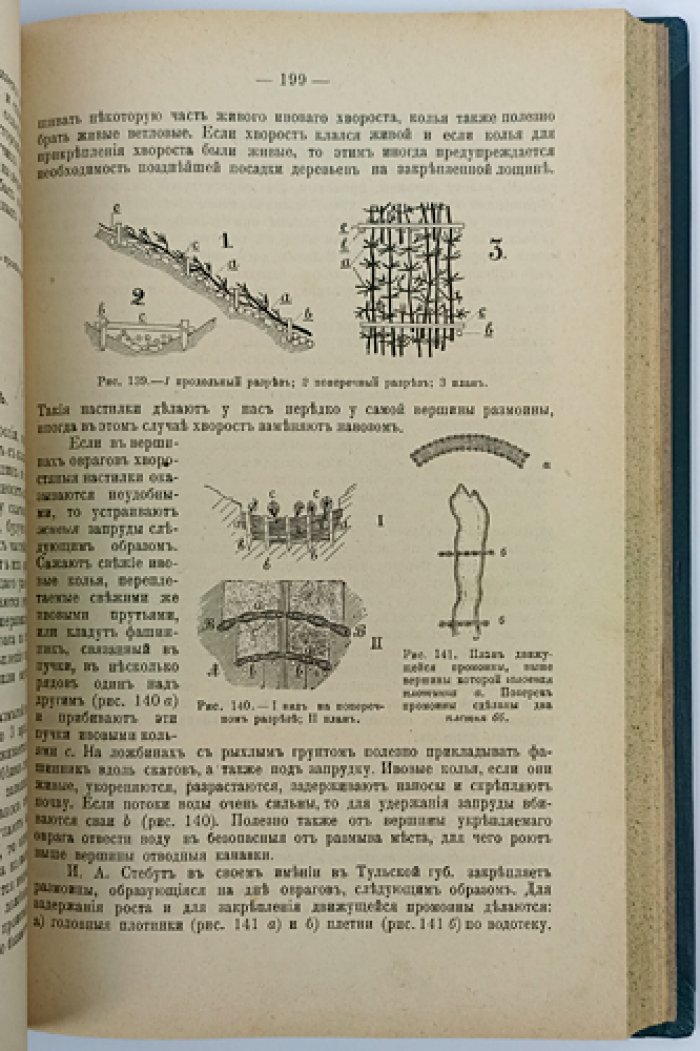 Лесоводство. Теория и практика лесовозращения, ухода за насаждениями и лесной таксации