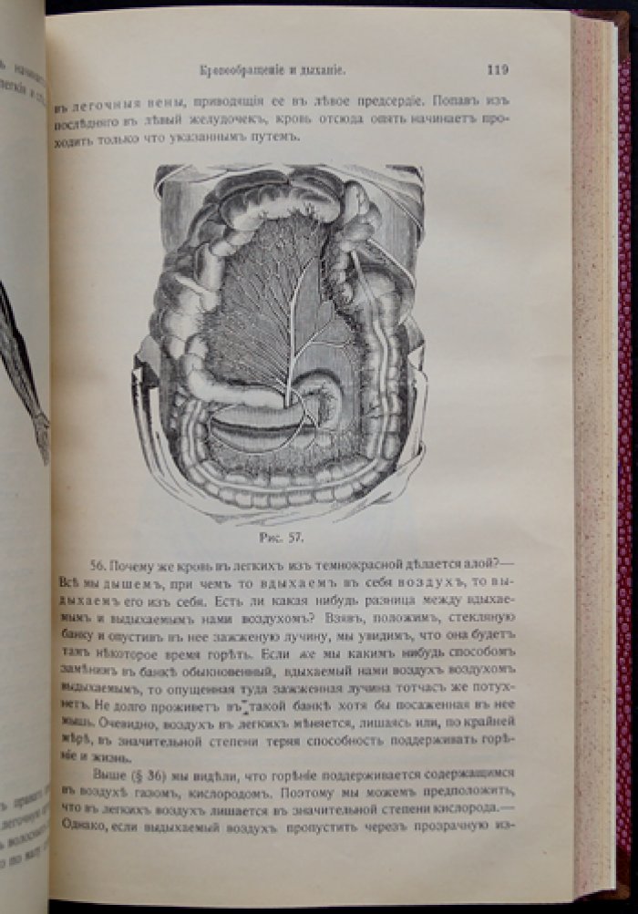 Гигиена (с включением анатомии, физиологии и патологии человека). Дополненное издание