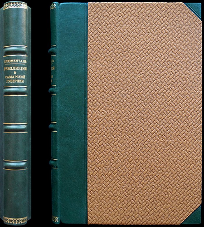 Революция 1917–1918 гг. в Самарской губернии: хроника событий. Том I (март—декабрь 1917)
